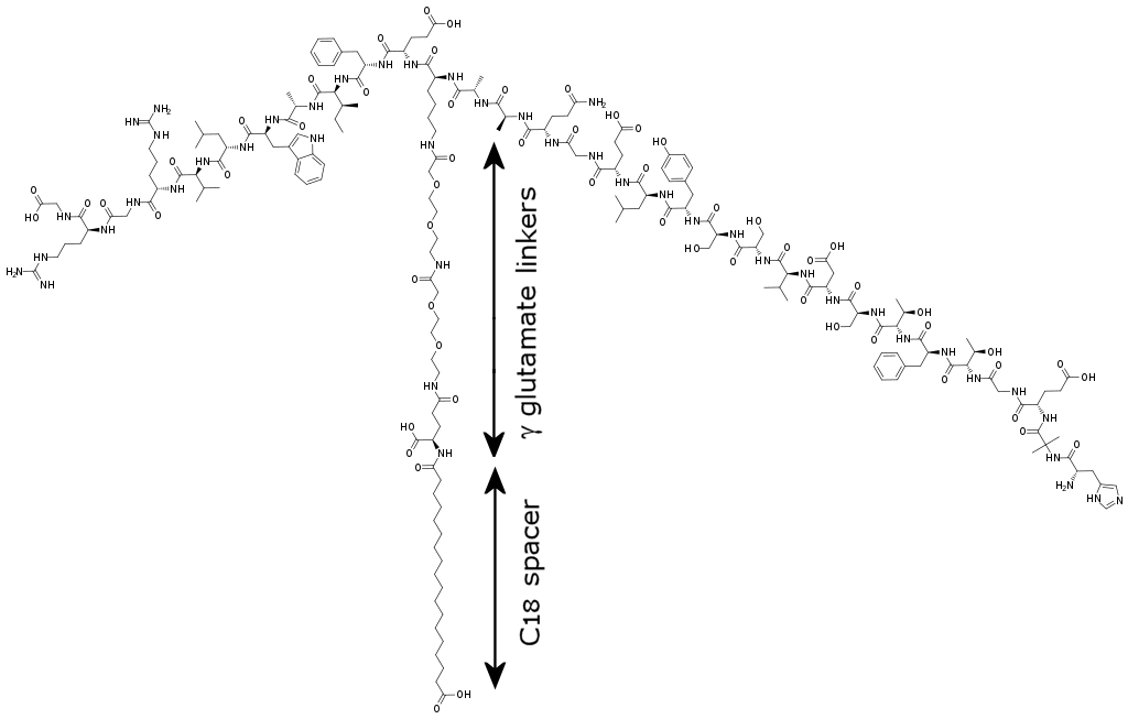 semaglutide molecular structure